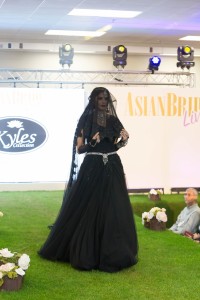Asian Wedding Photography and Videography                 